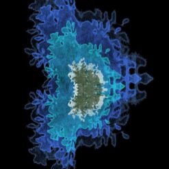 Triptyque N°2 – L’atoll