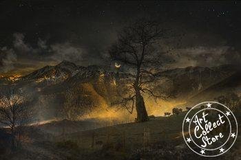 Nuit Magique