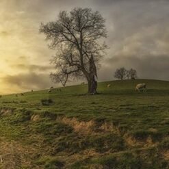 Pays Basque hivernal
