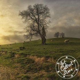 Pays Basque hivernal