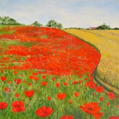 Champ de coquelicots