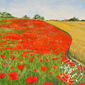 Champ de coquelicots