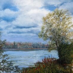 Saules blancs au bord de Loire