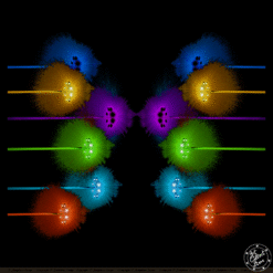 Butterfly Effect N°20 – Neela