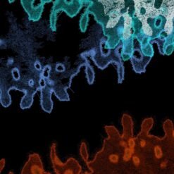 Triptyque N°1 – La Plage