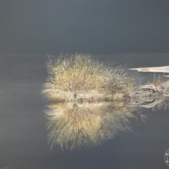 Art Collect Store - Patrick Egger - Réflexion