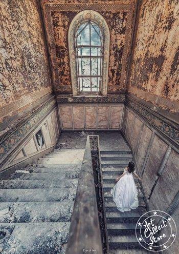 Belle au bois d'ormant