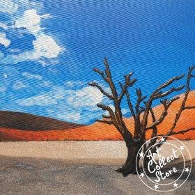 Quand t'es dans le désert