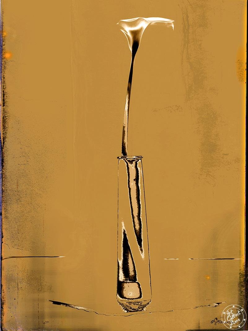 Art Collect Store - Manorack - Arum#19