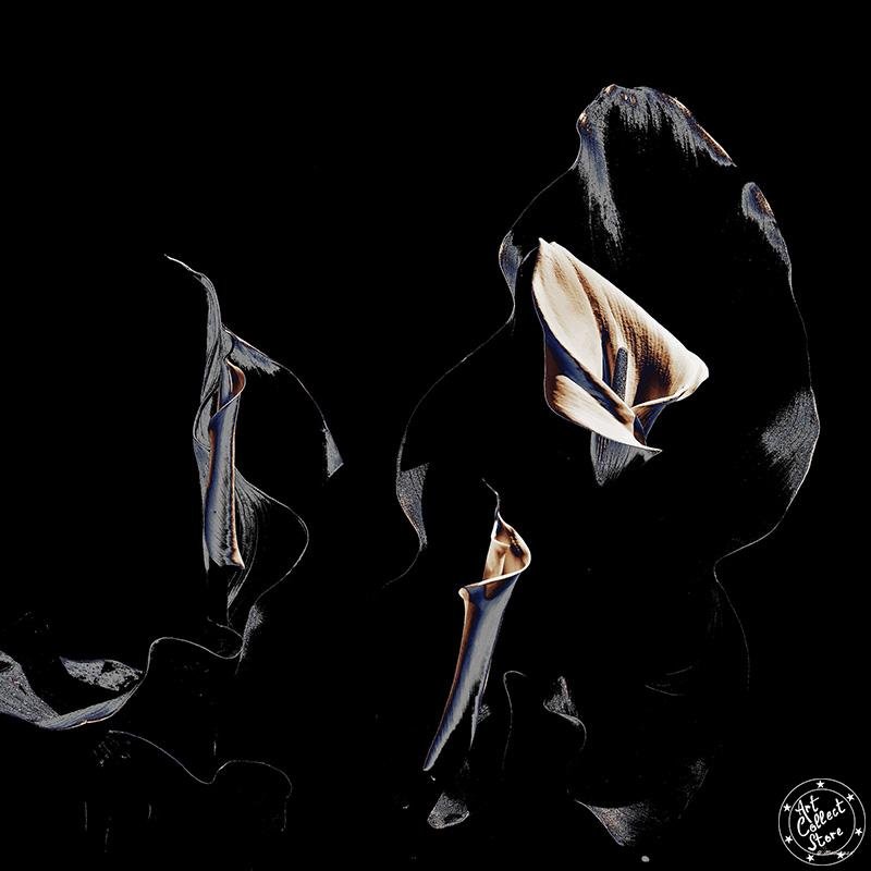 Art Collect Store - Manorack - Arum#7