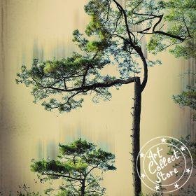 Art Collect Store - Manorack - Le Pin