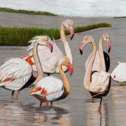 La grâce éblouissante du Flamant Rose de Camargue.