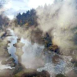 Dans un jardin japonais