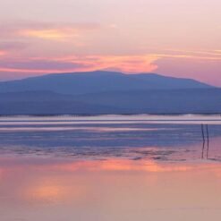 Douceur et subtilité