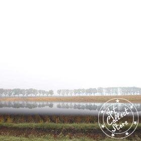 Un cyprès dans le miroir