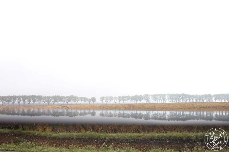 Un cyprès dans le miroir