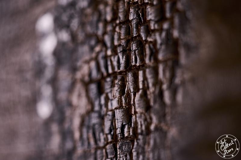 Terres et Landes – Image 4