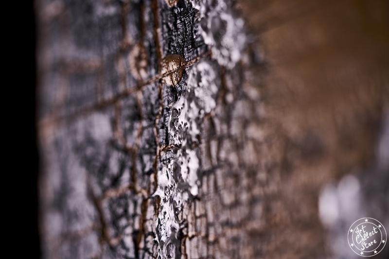 Terres et Landes – Image 5