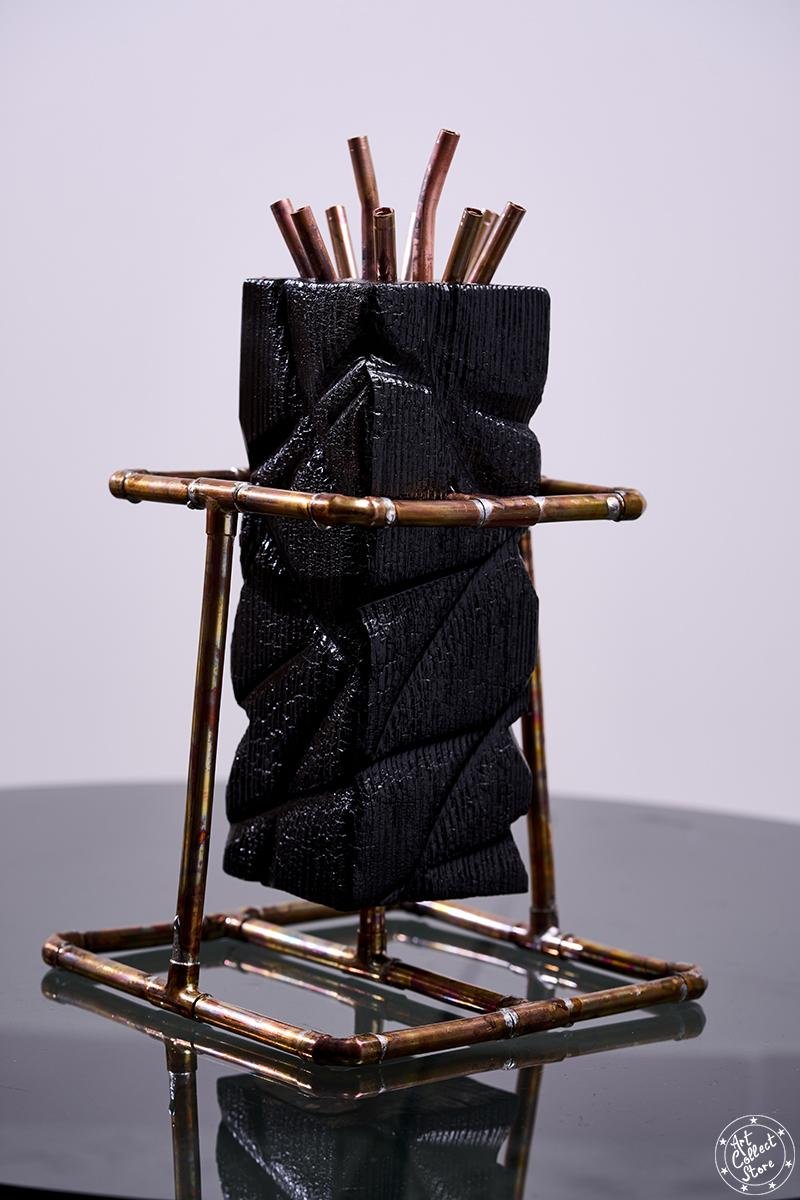 Pourquoi pas – Image 3