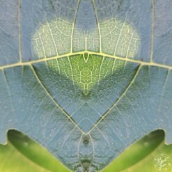 Art Collect Store - Laurent La Rocca - Epris