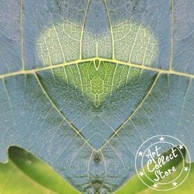 Art Collect Store - Laurent La Rocca - Epris