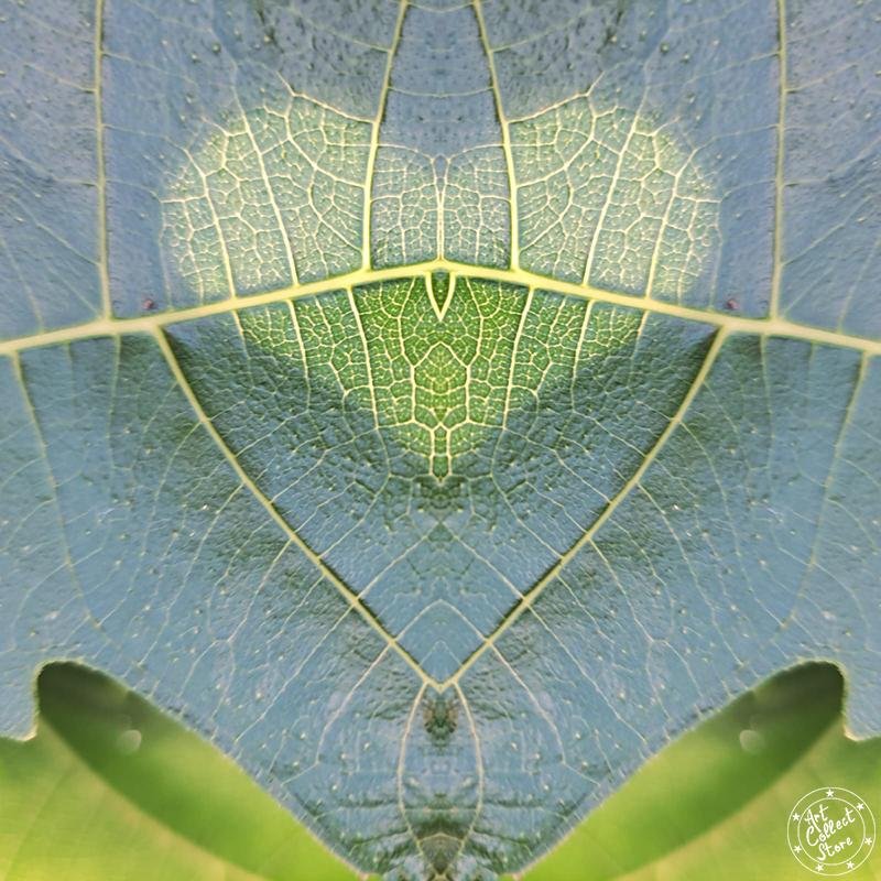 Art Collect Store - Laurent La Rocca - Epris