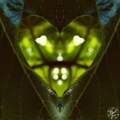 Art Collect Store - Laurent La Rocca - Feu Follet