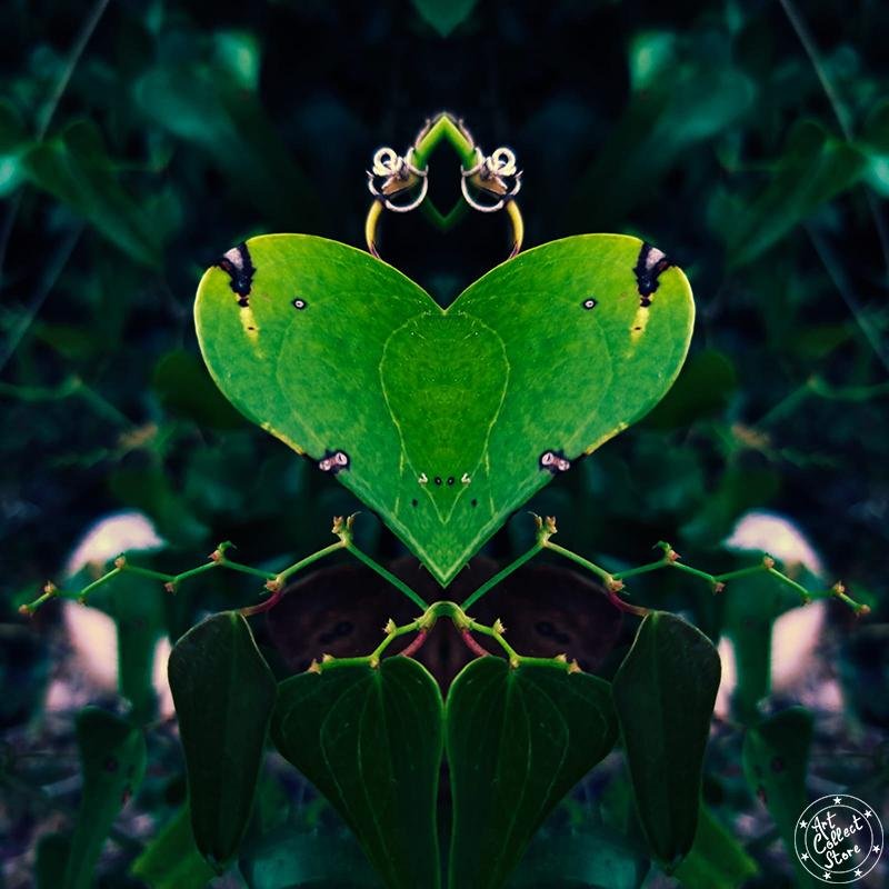 Art Collect Store - Laurent La Rocca - La Reine