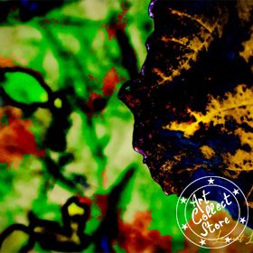 Art Collect Store - Laurent La Rocca - L'enfant sacré