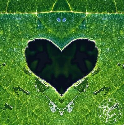 Art Collect Store - Laurent La Rocca - Ultime chance