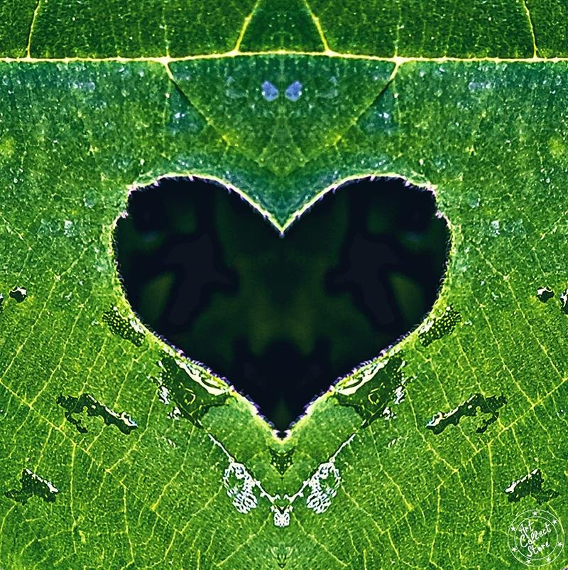 Art Collect Store - Laurent La Rocca - Ultime chance