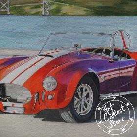 Art Collect Store - Pierre Bayet - Shelby Cobra 427