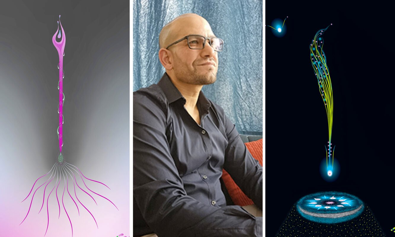 Art Collect Store - Ahmed Bouzeraa