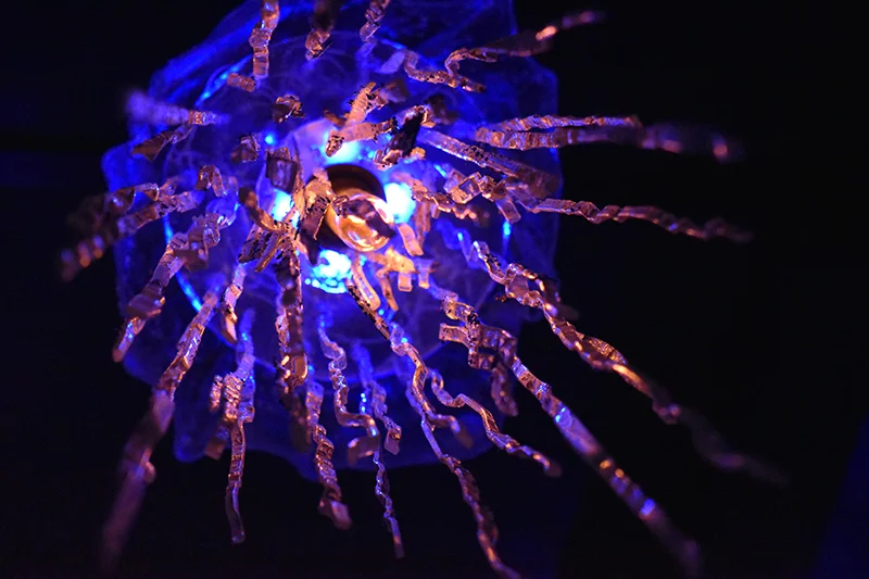 Art Collect Store - Cecile Delanoe